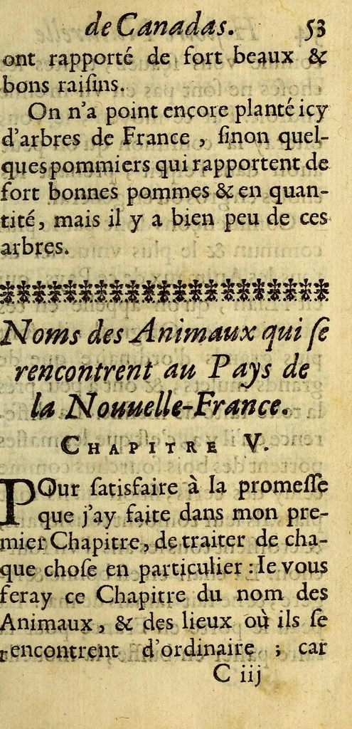 An illustration from Histoire veritable et naturelle des moeurs & productions du pays de la Nouuelle France, vulgairement dite le Canada., 1664, leaf 83