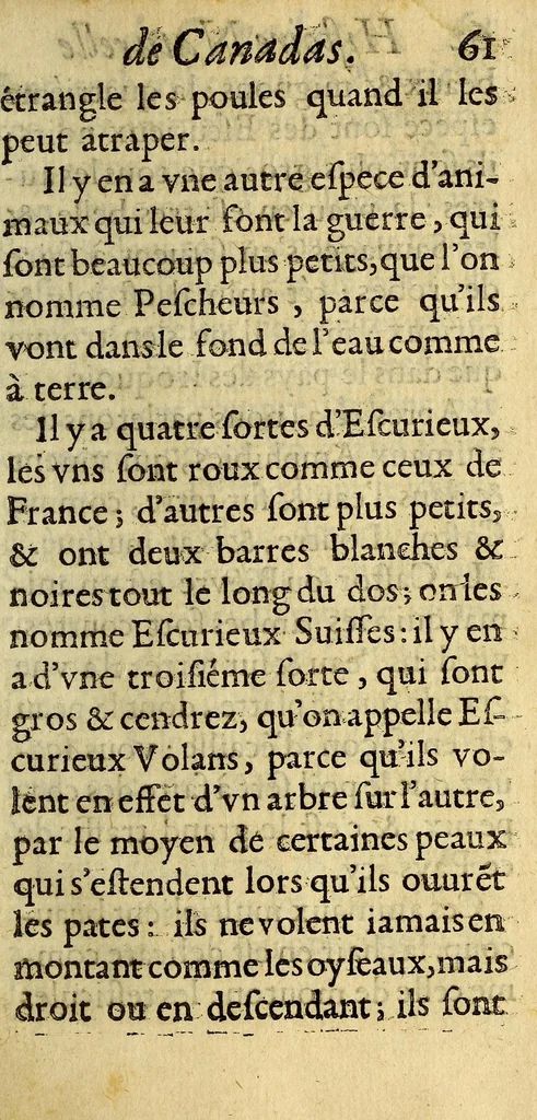 An illustration from Histoire veritable et naturelle des moeurs & productions du pays de la Nouuelle France, vulgairement dite le Canada., 1664, leaf 91