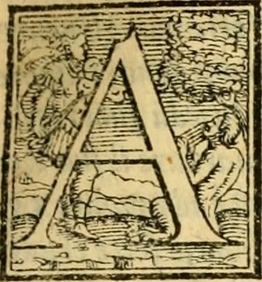 An illustration from Historia, 1562, leaf 252