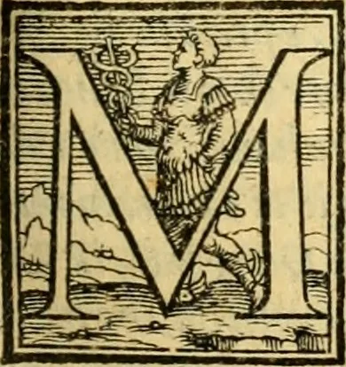 An illustration from Historia, 1562, leaf 252