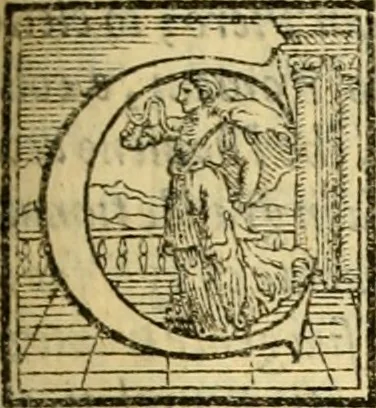An illustration from Historia, 1562, leaf 316