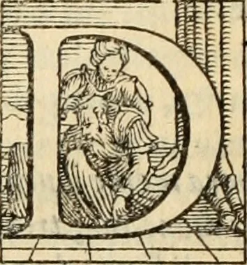 An illustration from Historia, 1562, leaf 317