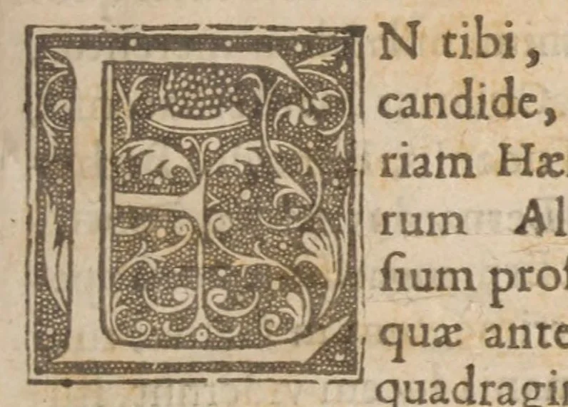 An illustration from Historia Albigensium et sacri belli in eos anno M.CC.IX. suscepti, duce & principe Simone à Monteforti : ex M.SS. codicibus, 1617, leaf 7