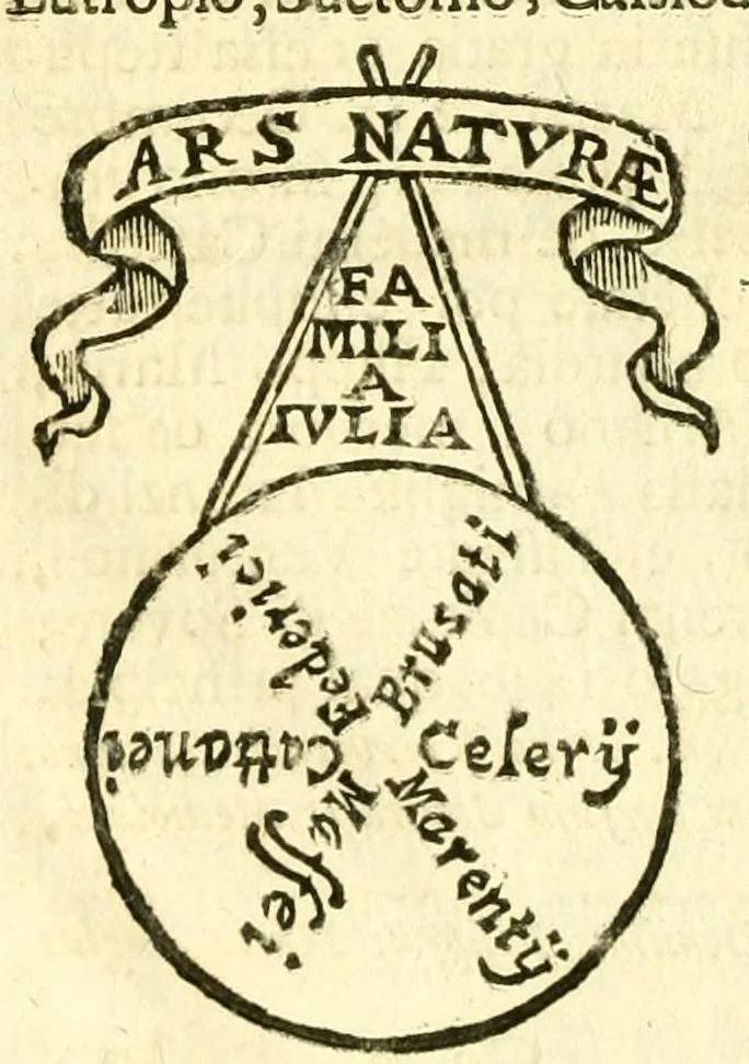 An illustration from Historia antica, e moderna: sacra, e profana, della città di Trieste ... : con la notitia di molt'arcani d'antichità ... e gesti d'huomini illustri ... sin'à ... 1698, 1698, leaf 332
