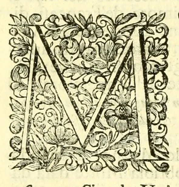An illustration from Historia antica, e moderna: sacra, e profana, della città di Trieste ... : con la notitia di molt'arcani d'antichità ... e gesti d'huomini illustri ... sin'à ... 1698, 1698, leaf 634