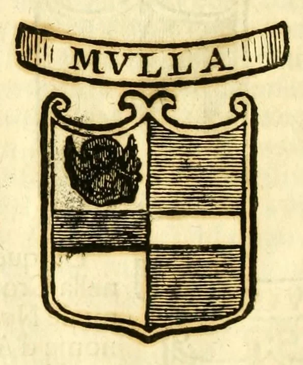 An illustration from Historia antica, e moderna: sacra, e profana, della città di Trieste ... : con la notitia di molt'arcani d'antichità ... e gesti d'huomini illustri ... sin'à ... 1698, 1698, leaf 720