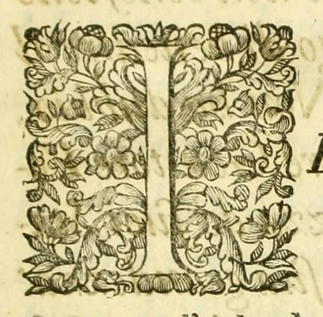 An illustration from Historia antica, e moderna: sacra, e profana, della città di Trieste ... : con la notitia di molt'arcani d'antichità ... e gesti d'huomini illustri ... sin'à ... 1698, 1698, leaf 9