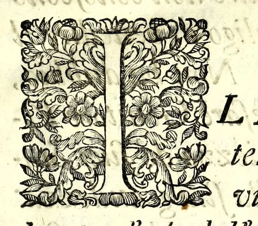 An illustration from Historia antica e moderna, sacra e profana, della città di Trieste, celebre colonia de'cittadini Romani : con la notitia di molt'arcani d'antichità, prerogative di nobiltà, e gesti d'huomini illustri, privilegi della città, e famiglie d'essa, varietà d'eruditioni, inscrittioni, sassi, mausolei, M.S. successi, mutationi de riti, e dominj, fin'à quest'anno 1698, 1698, leaf 9