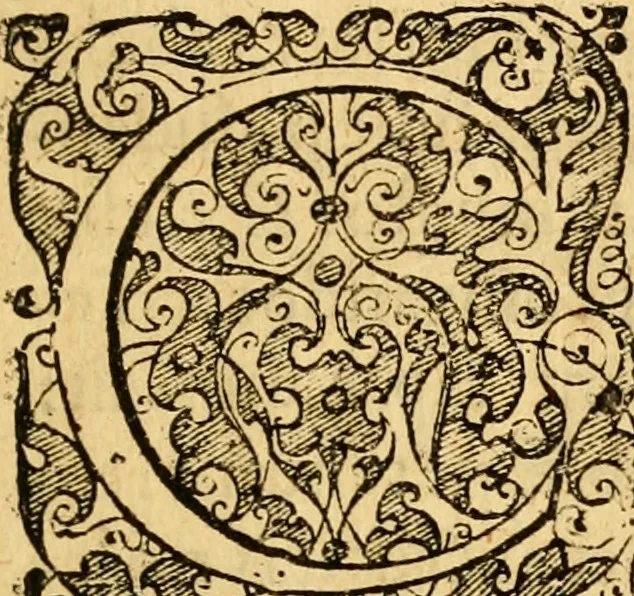 An illustration from Historia B. Platinae de vitis pontificum Romanorum : a D.N. Jesu Christo usque ad Paulum II. venetum papam : longe' quam antea emendatior, doctissimarumq[ue] annotationum Onuphrii Panuinii accessione nunc illustrior reddita : cui, eiusdem Onuphrii accurata atque fideli operâ, reliquorum pontificum vitae, usq[ue] ad Pium V. & Antonii Ciccarellae, usq[ue] ad Clementem VIII. qui hodiè sanctæ Romanae Catholicae ecclesiae præsidet, adiunctæ sunt : accesserunt nunc demum omnium pontificum verae effigies : omnia summo studio emendata & correcta, 1600, leaf 8