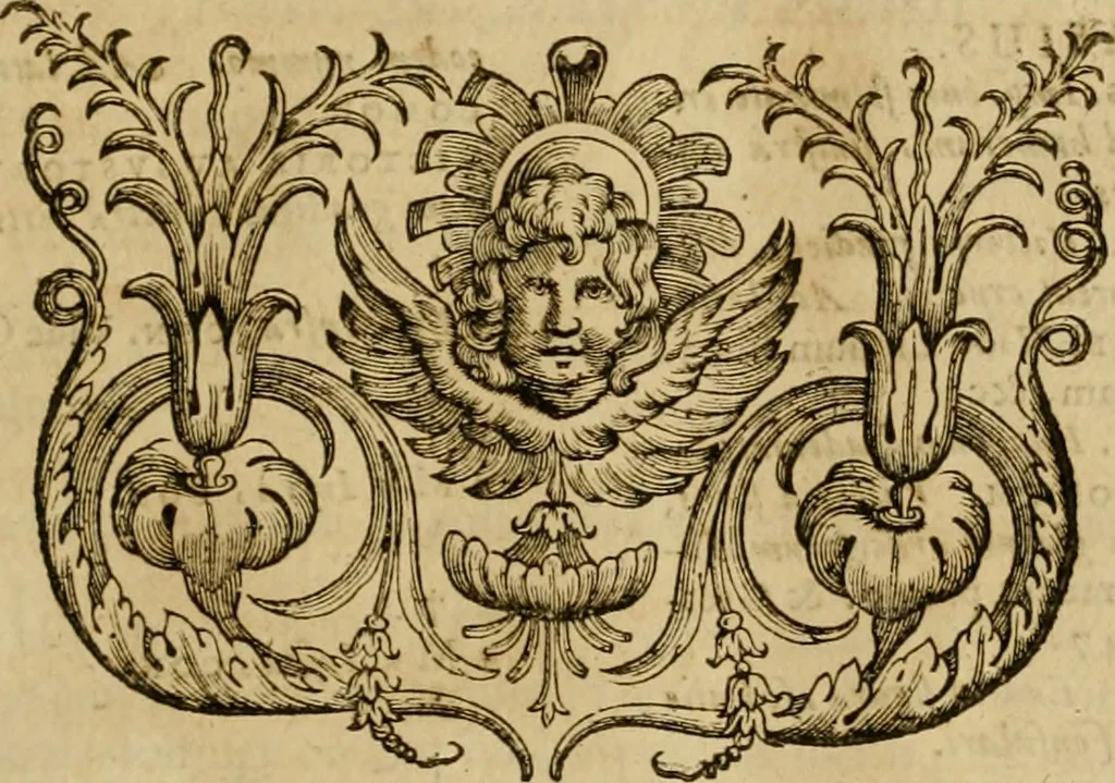 An illustration from Historia Byzantina duplici commentario illustrata : prior, Familias ac stemmata imperatorum constantinopolianorum, cum eorundem augustorum nomismatibus, & aliquot iconibus : praeterea familias dalmaticas & turcicas complecticur : alter, Descriptionem urbis constantinopolitanae, qualis extitit sub imperatoribus christianis, 1680, leaf 100