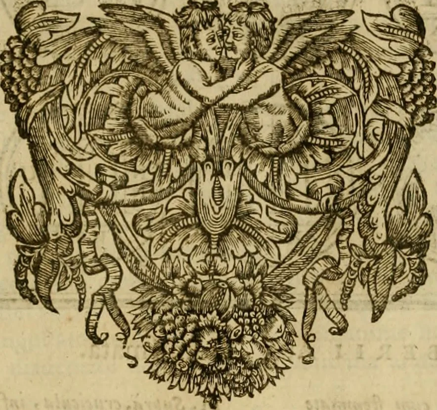 An illustration from Historia Byzantina duplici commentario illustrata : prior, Familias ac stemmata imperatorum constantinopolianorum, cum eorundem augustorum nomismatibus, & aliquot iconibus : praeterea familias dalmaticas & turcicas complecticur : alter, Descriptionem urbis constantinopolitanae, qualis extitit sub imperatoribus christianis, 1680, leaf 118