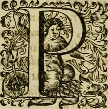 An illustration from Historia Byzantina duplici commentario illustrata : prior, Familias ac stemmata imperatorum constantinopolianorum, cum eorundem augustorum nomismatibus, & aliquot iconibus : praeterea familias dalmaticas & turcicas complecticur : alter, Descriptionem urbis constantinopolitanae, qualis extitit sub imperatoribus christianis, 1680, leaf 123