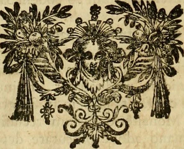 An illustration from Historia Byzantina duplici commentario illustrata : prior, Familias ac stemmata imperatorum constantinopolianorum, cum eorundem augustorum nomismatibus, & aliquot iconibus : praeterea familias dalmaticas & turcicas complecticur : alter, Descriptionem urbis constantinopolitanae, qualis extitit sub imperatoribus christianis, 1680, leaf 125