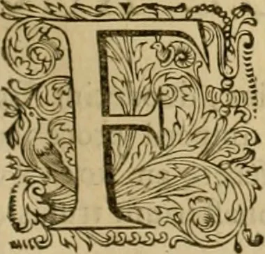 An illustration from Historia Byzantina duplici commentario illustrata : prior, Familias ac stemmata imperatorum constantinopolianorum, cum eorundem augustorum nomismatibus, & aliquot iconibus : praeterea familias dalmaticas & turcicas complecticur : alter, Descriptionem urbis constantinopolitanae, qualis extitit sub imperatoribus christianis, 1680, leaf 144