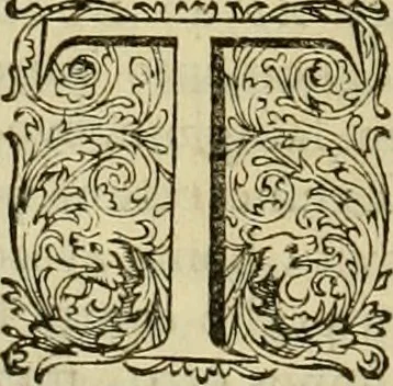 An illustration from Historia Byzantina duplici commentario illustrata : prior, Familias ac stemmata imperatorum constantinopolianorum, cum eorundem augustorum nomismatibus, & aliquot iconibus : praeterea familias dalmaticas & turcicas complecticur : alter, Descriptionem urbis constantinopolitanae, qualis extitit sub imperatoribus christianis, 1680, leaf 145