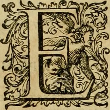An illustration from Historia Byzantina duplici commentario illustrata : prior, Familias ac stemmata imperatorum constantinopolianorum, cum eorundem augustorum nomismatibus, & aliquot iconibus : praeterea familias dalmaticas & turcicas complecticur : alter, Descriptionem urbis constantinopolitanae, qualis extitit sub imperatoribus christianis, 1680, leaf 155
