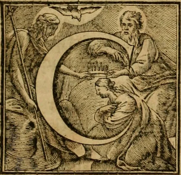 An illustration from Historia Byzantina duplici commentario illustrata : prior, Familias ac stemmata imperatorum constantinopolianorum, cum eorundem augustorum nomismatibus, & aliquot iconibus : praeterea familias dalmaticas & turcicas complecticur : alter, Descriptionem urbis constantinopolitanae, qualis extitit sub imperatoribus christianis, 1680, leaf 16