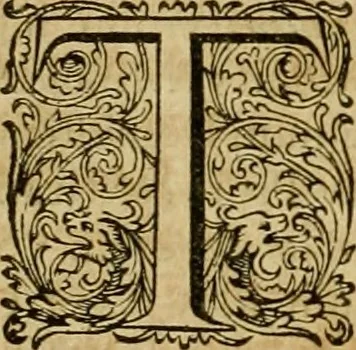 An illustration from Historia Byzantina duplici commentario illustrata : prior, Familias ac stemmata imperatorum constantinopolianorum, cum eorundem augustorum nomismatibus, & aliquot iconibus : praeterea familias dalmaticas & turcicas complecticur : alter, Descriptionem urbis constantinopolitanae, qualis extitit sub imperatoribus christianis, 1680, leaf 163
