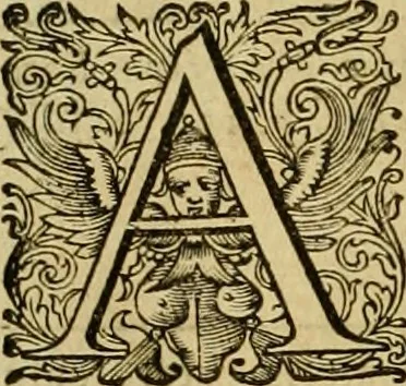 An illustration from Historia Byzantina duplici commentario illustrata : prior, Familias ac stemmata imperatorum constantinopolianorum, cum eorundem augustorum nomismatibus, & aliquot iconibus : praeterea familias dalmaticas & turcicas complecticur : alter, Descriptionem urbis constantinopolitanae, qualis extitit sub imperatoribus christianis, 1680, leaf 171