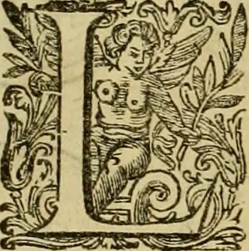 An illustration from Historia Byzantina duplici commentario illustrata : prior, Familias ac stemmata imperatorum constantinopolianorum, cum eorundem augustorum nomismatibus, & aliquot iconibus : praeterea familias dalmaticas & turcicas complecticur : alter, Descriptionem urbis constantinopolitanae, qualis extitit sub imperatoribus christianis, 1680, leaf 177