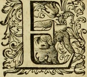 An illustration from Historia Byzantina duplici commentario illustrata : prior, Familias ac stemmata imperatorum constantinopolianorum, cum eorundem augustorum nomismatibus, & aliquot iconibus : praeterea familias dalmaticas & turcicas complecticur : alter, Descriptionem urbis constantinopolitanae, qualis extitit sub imperatoribus christianis, 1680, leaf 213