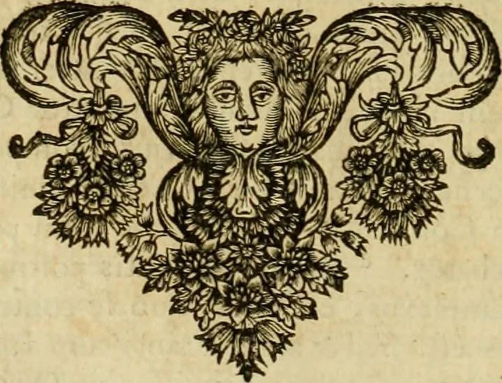 An illustration from Historia Byzantina duplici commentario illustrata : prior, Familias ac stemmata imperatorum constantinopolianorum, cum eorundem augustorum nomismatibus, & aliquot iconibus : praeterea familias dalmaticas & turcicas complecticur : alter, Descriptionem urbis constantinopolitanae, qualis extitit sub imperatoribus christianis, 1680, leaf 215