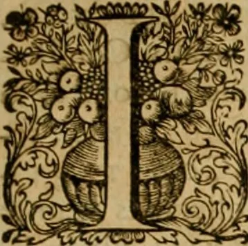 An illustration from Historia Byzantina duplici commentario illustrata : prior, Familias ac stemmata imperatorum constantinopolianorum, cum eorundem augustorum nomismatibus, & aliquot iconibus : praeterea familias dalmaticas & turcicas complecticur : alter, Descriptionem urbis constantinopolitanae, qualis extitit sub imperatoribus christianis, 1680, leaf 216
