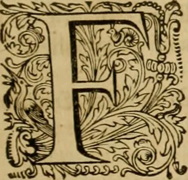 An illustration from Historia Byzantina duplici commentario illustrata : prior, Familias ac stemmata imperatorum constantinopolianorum, cum eorundem augustorum nomismatibus, & aliquot iconibus : praeterea familias dalmaticas & turcicas complecticur : alter, Descriptionem urbis constantinopolitanae, qualis extitit sub imperatoribus christianis, 1680, leaf 218