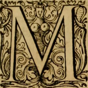 An illustration from Historia Byzantina duplici commentario illustrata : prior, Familias ac stemmata imperatorum constantinopolianorum, cum eorundem augustorum nomismatibus, & aliquot iconibus : praeterea familias dalmaticas & turcicas complecticur : alter, Descriptionem urbis constantinopolitanae, qualis extitit sub imperatoribus christianis, 1680, leaf 228