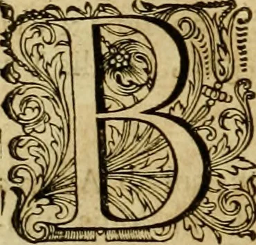 An illustration from Historia Byzantina duplici commentario illustrata : prior, Familias ac stemmata imperatorum constantinopolianorum, cum eorundem augustorum nomismatibus, & aliquot iconibus : praeterea familias dalmaticas & turcicas complecticur : alter, Descriptionem urbis constantinopolitanae, qualis extitit sub imperatoribus christianis, 1680, leaf 231