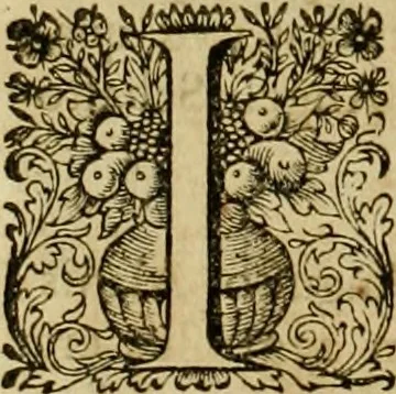 An illustration from Historia Byzantina duplici commentario illustrata : prior, Familias ac stemmata imperatorum constantinopolianorum, cum eorundem augustorum nomismatibus, & aliquot iconibus : praeterea familias dalmaticas & turcicas complecticur : alter, Descriptionem urbis constantinopolitanae, qualis extitit sub imperatoribus christianis, 1680, leaf 233