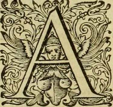 An illustration from Historia Byzantina duplici commentario illustrata : prior, Familias ac stemmata imperatorum constantinopolianorum, cum eorundem augustorum nomismatibus, & aliquot iconibus : praeterea familias dalmaticas & turcicas complecticur : alter, Descriptionem urbis constantinopolitanae, qualis extitit sub imperatoribus christianis, 1680, leaf 235