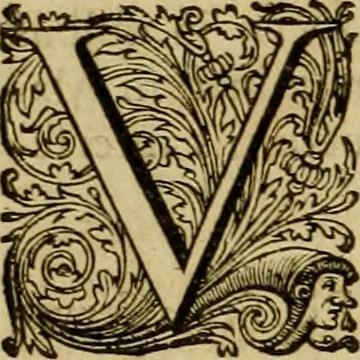 An illustration from Historia Byzantina duplici commentario illustrata : prior, Familias ac stemmata imperatorum constantinopolianorum, cum eorundem augustorum nomismatibus, & aliquot iconibus : praeterea familias dalmaticas & turcicas complecticur : alter, Descriptionem urbis constantinopolitanae, qualis extitit sub imperatoribus christianis, 1680, leaf 239