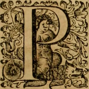 An illustration from Historia Byzantina duplici commentario illustrata : prior, Familias ac stemmata imperatorum constantinopolianorum, cum eorundem augustorum nomismatibus, & aliquot iconibus : praeterea familias dalmaticas & turcicas complecticur : alter, Descriptionem urbis constantinopolitanae, qualis extitit sub imperatoribus christianis, 1680, leaf 242