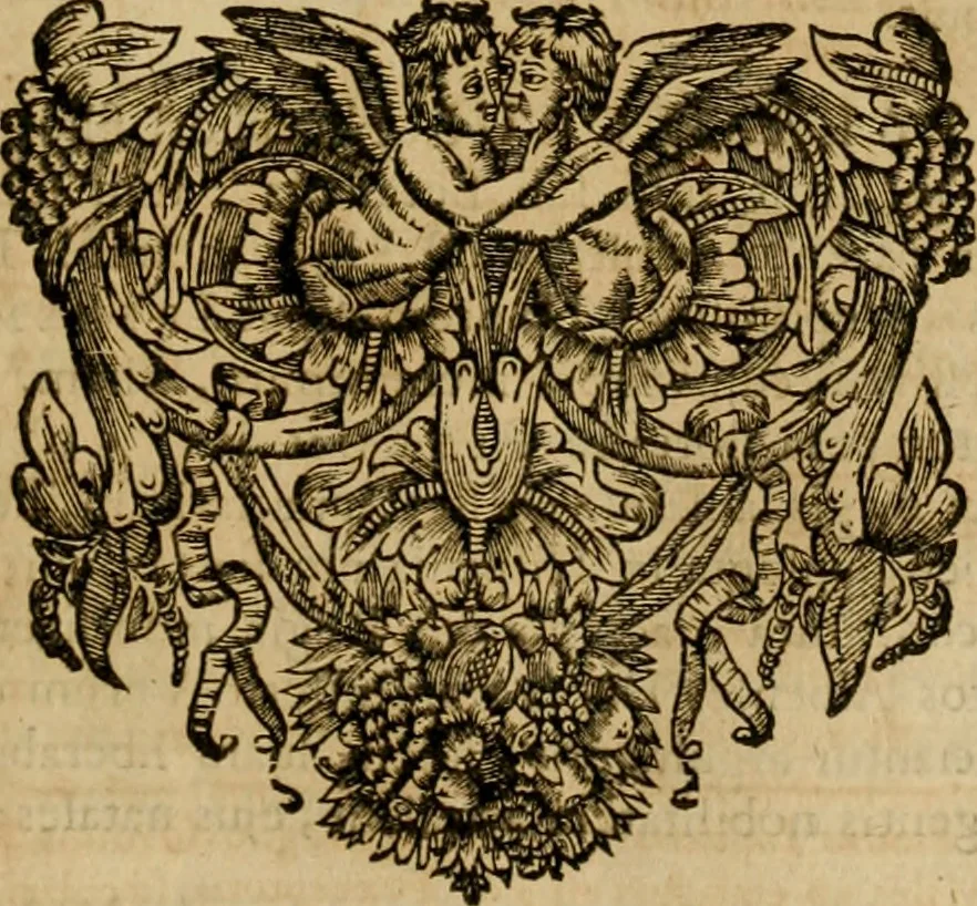 An illustration from Historia Byzantina duplici commentario illustrata : prior, Familias ac stemmata imperatorum constantinopolianorum, cum eorundem augustorum nomismatibus, & aliquot iconibus : praeterea familias dalmaticas & turcicas complecticur : alter, Descriptionem urbis constantinopolitanae, qualis extitit sub imperatoribus christianis, 1680, leaf 246