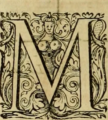 An illustration from Historia Byzantina duplici commentario illustrata : prior, Familias ac stemmata imperatorum constantinopolianorum, cum eorundem augustorum nomismatibus, & aliquot iconibus : praeterea familias dalmaticas & turcicas complecticur : alter, Descriptionem urbis constantinopolitanae, qualis extitit sub imperatoribus christianis, 1680, leaf 247
