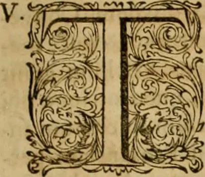 An illustration from Historia Byzantina duplici commentario illustrata : prior, Familias ac stemmata imperatorum constantinopolianorum, cum eorundem augustorum nomismatibus, & aliquot iconibus : praeterea familias dalmaticas & turcicas complecticur : alter, Descriptionem urbis constantinopolitanae, qualis extitit sub imperatoribus christianis, 1680, leaf 266