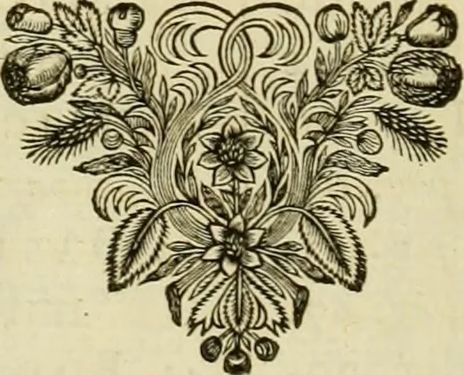 An illustration from Historia Byzantina duplici commentario illustrata : prior, Familias ac stemmata imperatorum constantinopolianorum, cum eorundem augustorum nomismatibus, & aliquot iconibus : praeterea familias dalmaticas & turcicas complecticur : alter, Descriptionem urbis constantinopolitanae, qualis extitit sub imperatoribus christianis, 1680, leaf 27
