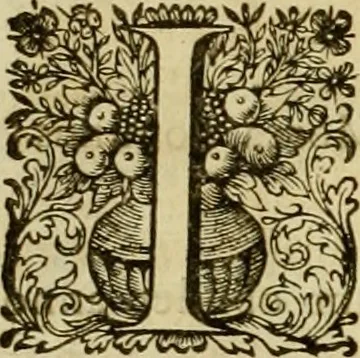 An illustration from Historia Byzantina duplici commentario illustrata : prior, Familias ac stemmata imperatorum constantinopolianorum, cum eorundem augustorum nomismatibus, & aliquot iconibus : praeterea familias dalmaticas & turcicas complecticur : alter, Descriptionem urbis constantinopolitanae, qualis extitit sub imperatoribus christianis, 1680, leaf 273