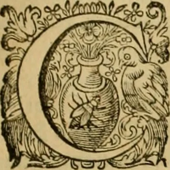 An illustration from Historia Byzantina duplici commentario illustrata : prior, Familias ac stemmata imperatorum constantinopolianorum, cum eorundem augustorum nomismatibus, & aliquot iconibus : praeterea familias dalmaticas & turcicas complecticur : alter, Descriptionem urbis constantinopolitanae, qualis extitit sub imperatoribus christianis, 1680, leaf 286