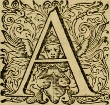 An illustration from Historia Byzantina duplici commentario illustrata : prior, Familias ac stemmata imperatorum constantinopolianorum, cum eorundem augustorum nomismatibus, & aliquot iconibus : praeterea familias dalmaticas & turcicas complecticur : alter, Descriptionem urbis constantinopolitanae, qualis extitit sub imperatoribus christianis, 1680, leaf 322