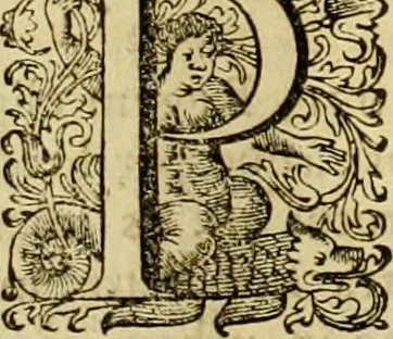 An illustration from Historia Byzantina duplici commentario illustrata : prior, Familias ac stemmata imperatorum constantinopolianorum, cum eorundem augustorum nomismatibus, & aliquot iconibus : praeterea familias dalmaticas & turcicas complecticur : alter, Descriptionem urbis constantinopolitanae, qualis extitit sub imperatoribus christianis, 1680, leaf 335