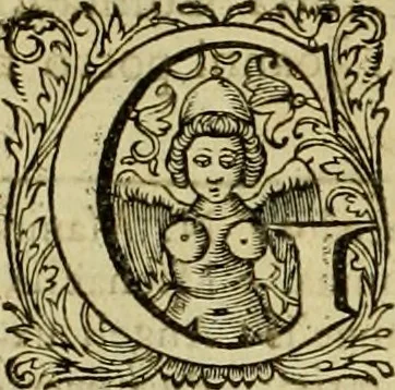 An illustration from Historia Byzantina duplici commentario illustrata : prior, Familias ac stemmata imperatorum constantinopolianorum, cum eorundem augustorum nomismatibus, & aliquot iconibus : praeterea familias dalmaticas & turcicas complecticur : alter, Descriptionem urbis constantinopolitanae, qualis extitit sub imperatoribus christianis, 1680, leaf 343