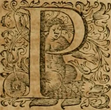 An illustration from Historia Byzantina duplici commentario illustrata : prior, Familias ac stemmata imperatorum constantinopolianorum, cum eorundem augustorum nomismatibus, & aliquot iconibus : praeterea familias dalmaticas & turcicas complecticur : alter, Descriptionem urbis constantinopolitanae, qualis extitit sub imperatoribus christianis, 1680, leaf 350