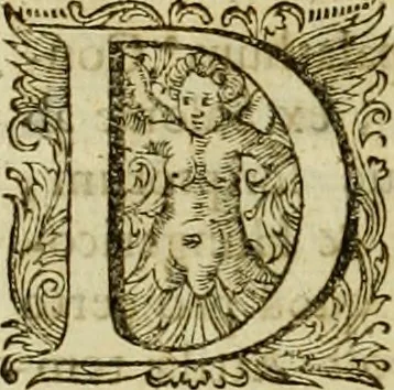 An illustration from Historia Byzantina duplici commentario illustrata : prior, Familias ac stemmata imperatorum constantinopolianorum, cum eorundem augustorum nomismatibus, & aliquot iconibus : praeterea familias dalmaticas & turcicas complecticur : alter, Descriptionem urbis constantinopolitanae, qualis extitit sub imperatoribus christianis, 1680, leaf 357