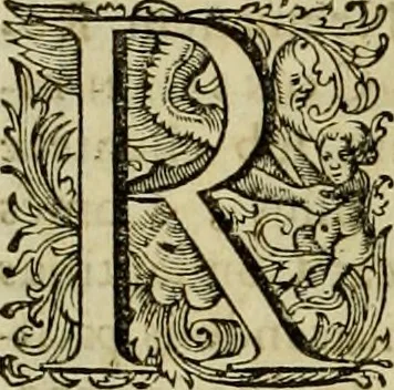 An illustration from Historia Byzantina duplici commentario illustrata : prior, Familias ac stemmata imperatorum constantinopolianorum, cum eorundem augustorum nomismatibus, & aliquot iconibus : praeterea familias dalmaticas & turcicas complecticur : alter, Descriptionem urbis constantinopolitanae, qualis extitit sub imperatoribus christianis, 1680, leaf 361