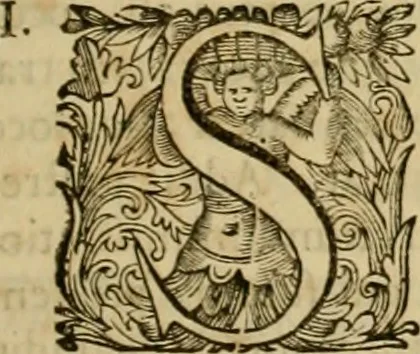 An illustration from Historia Byzantina duplici commentario illustrata : prior, Familias ac stemmata imperatorum constantinopolianorum, cum eorundem augustorum nomismatibus, & aliquot iconibus : praeterea familias dalmaticas & turcicas complecticur : alter, Descriptionem urbis constantinopolitanae, qualis extitit sub imperatoribus christianis, 1680, leaf 362