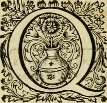 An illustration from Historia Byzantina duplici commentario illustrata : prior, Familias ac stemmata imperatorum constantinopolianorum, cum eorundem augustorum nomismatibus, & aliquot iconibus : praeterea familias dalmaticas & turcicas complecticur : alter, Descriptionem urbis constantinopolitanae, qualis extitit sub imperatoribus christianis, 1680, leaf 365