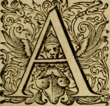 An illustration from Historia Byzantina duplici commentario illustrata : prior, Familias ac stemmata imperatorum constantinopolianorum, cum eorundem augustorum nomismatibus, & aliquot iconibus : praeterea familias dalmaticas & turcicas complecticur : alter, Descriptionem urbis constantinopolitanae, qualis extitit sub imperatoribus christianis, 1680, leaf 368