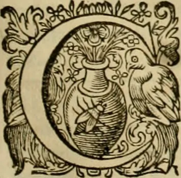 An illustration from Historia Byzantina duplici commentario illustrata : prior, Familias ac stemmata imperatorum constantinopolianorum, cum eorundem augustorum nomismatibus, & aliquot iconibus : praeterea familias dalmaticas & turcicas complecticur : alter, Descriptionem urbis constantinopolitanae, qualis extitit sub imperatoribus christianis, 1680, leaf 368